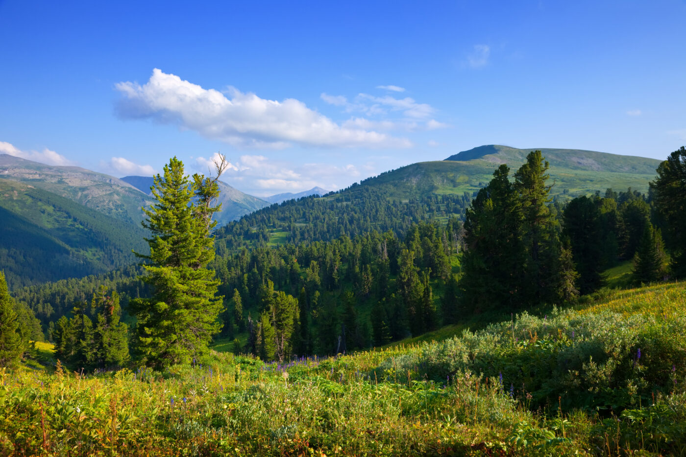 mountains landscape