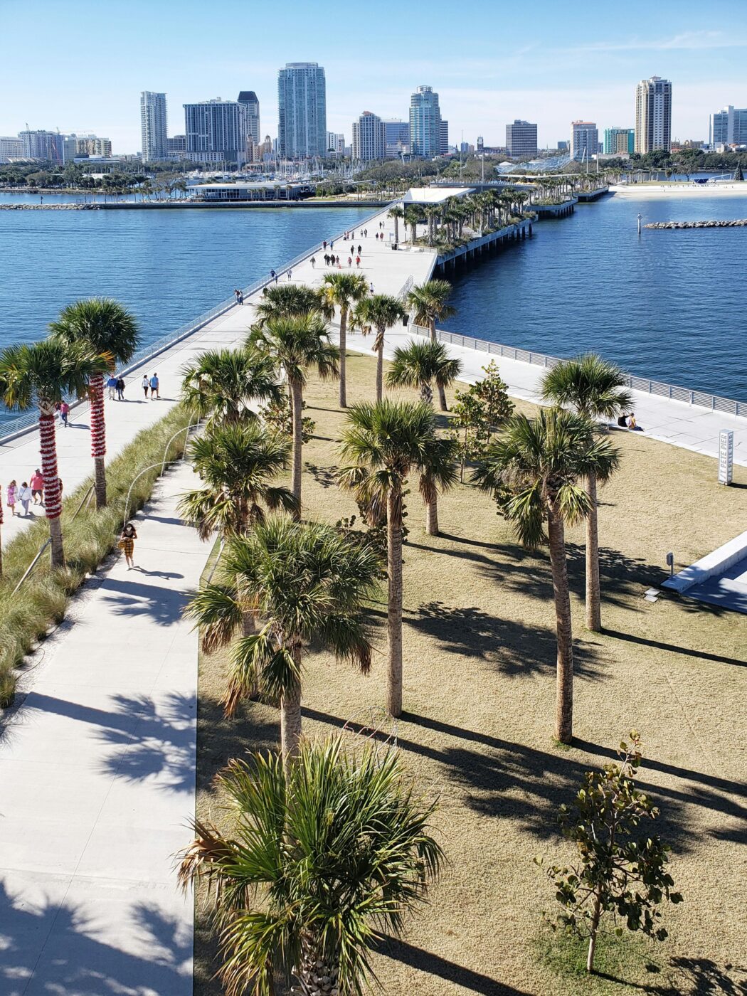 LASIK in St. Petersburg, FL