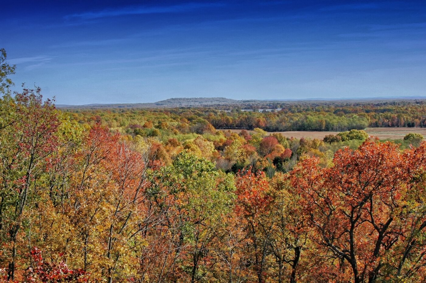 LASIK in Pine Bluff, AR TLC Laser Vision Centers
