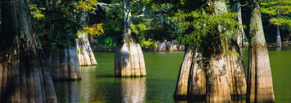 LASIK in Silsbee, TX