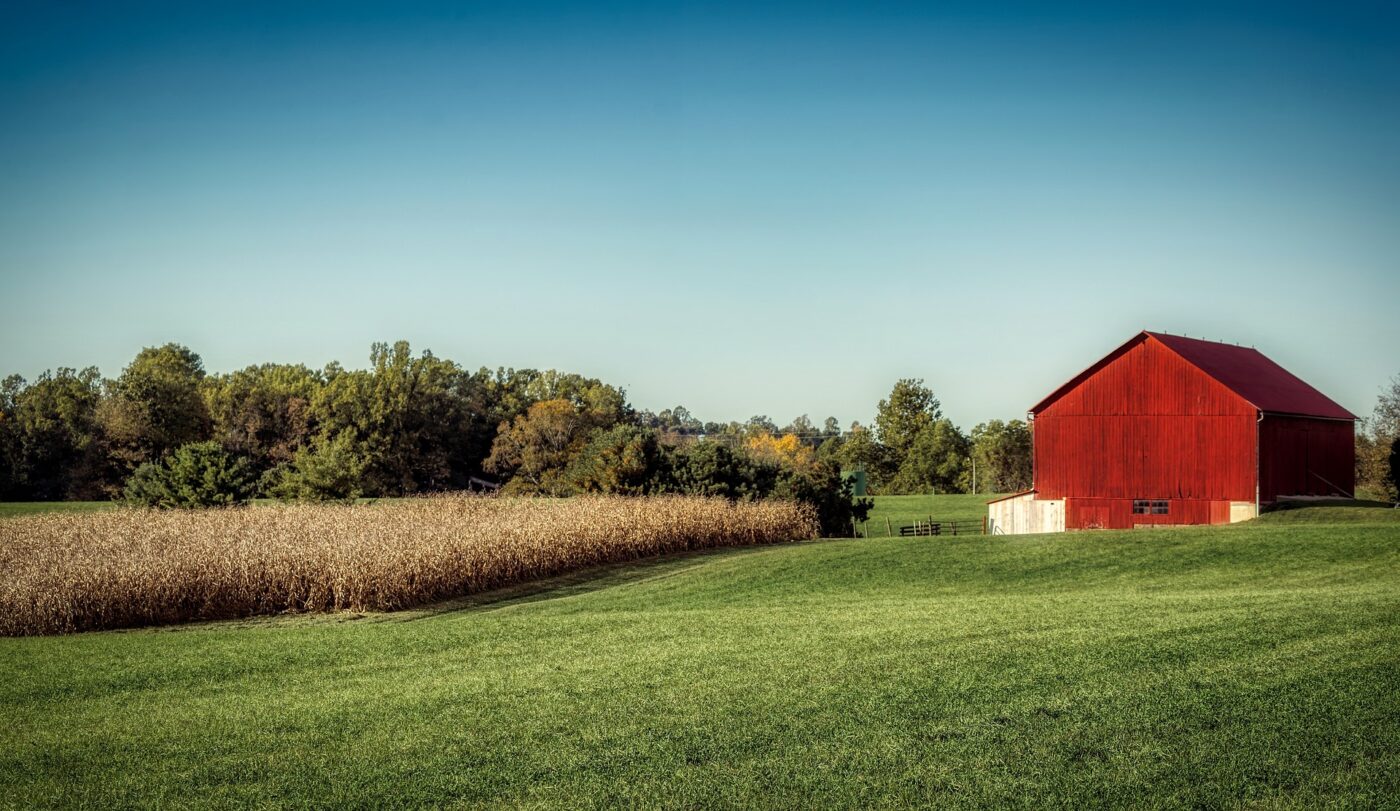 LASIK in New Albany, OH