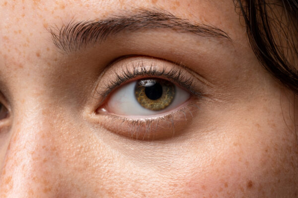 anatomy of the human eye